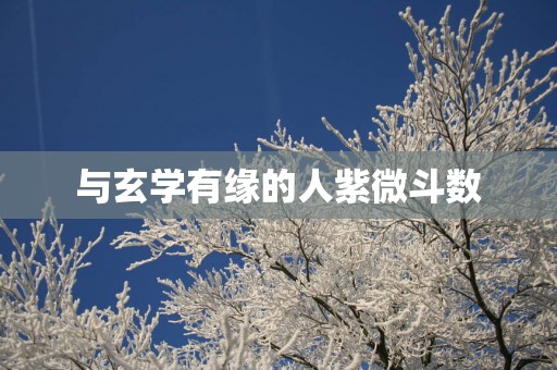 与玄学有缘的人紫微斗数