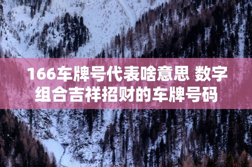 166车牌号代表啥意思 数字组合吉祥招财的车牌号码