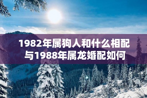 1982年属狗人和什么相配 与1988年属龙婚配如何