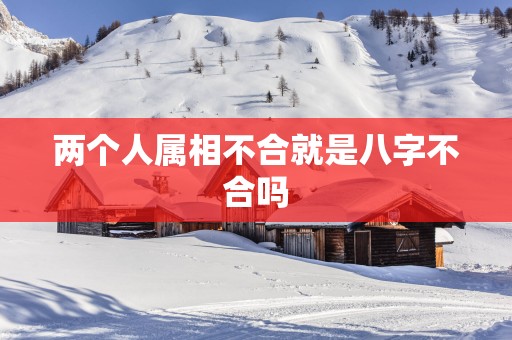 两个人属相不合就是八字不合吗