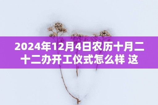 2024年12月4日农历十月二十二办开工仪式怎么样 这天开工会顺利吗