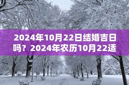 2024年10月22日结婚吉日吗？2024年农历10月22适合婚嫁吗