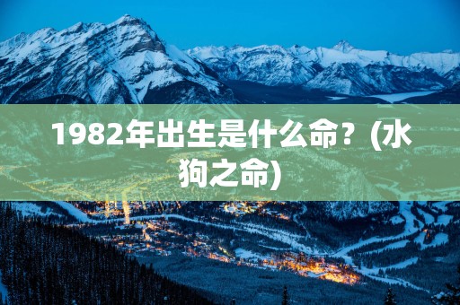 1982年出生是什么命？(水狗之命)
