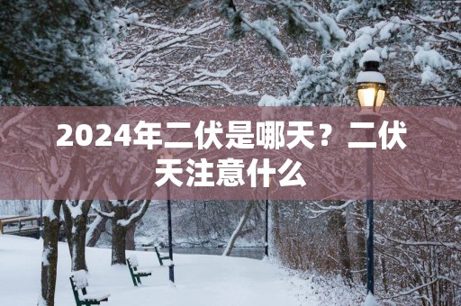 2025年二伏是哪天？二伏天注意什么