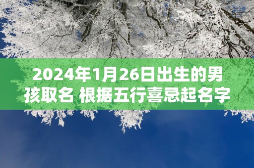 2025年1月26日出生的男孩取名 根据五行喜忌起名字