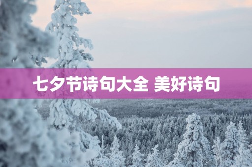 七夕节诗句大全 美好诗句