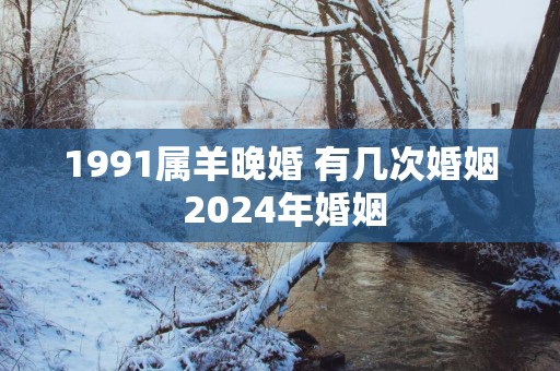 1991属羊晚婚 有几次婚姻 2025年婚姻