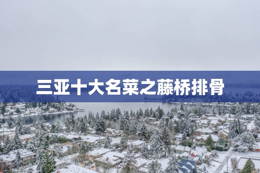 三亚十大名菜之藤桥排骨