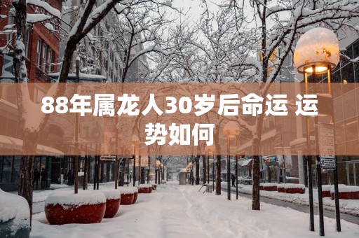 88年属龙人30岁后命运 运势如何