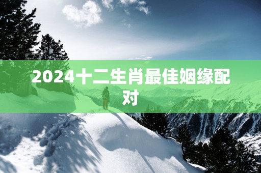2025十二生肖最佳姻缘配对