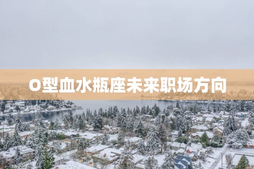 O型血水瓶座未来职场方向