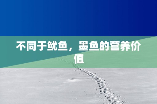 不同于鱿鱼，墨鱼的营养价值