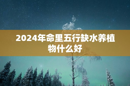 2025年命里五行缺水养植物什么好