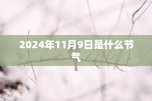 2025年11月9日是什么节气
