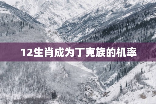 12生肖成为丁克族的机率
