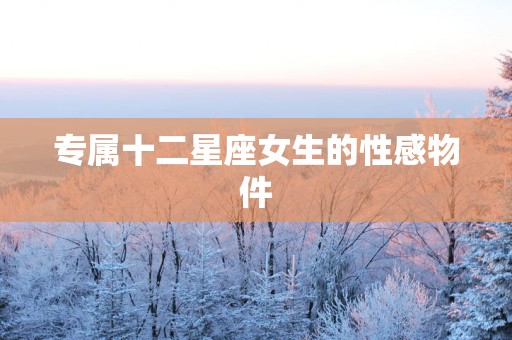 专属十二星座女生的性感物件