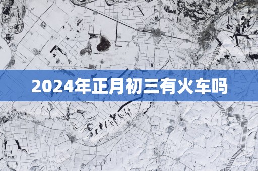 2025年正月初三有火车吗