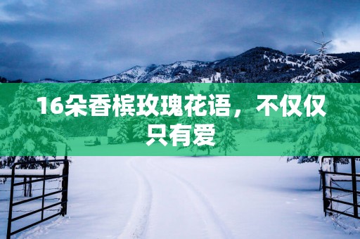 16朵香槟玫瑰花语，不仅仅只有爱