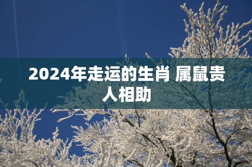 2025年走运的生肖 属鼠贵人相助
