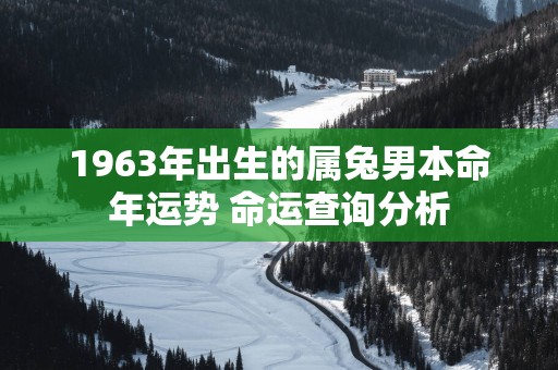 1963年出生的属兔男本命年运势 命运查询分析