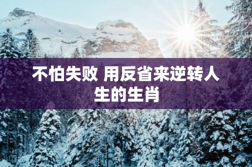 不怕失败 用反省来逆转人生的生肖