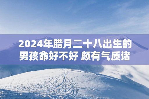 2025年腊月二十八出生的男孩命好不好 颇有气质诸事顺利