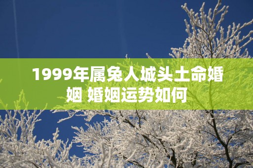 1999年属兔人城头土命婚姻 婚姻运势如何