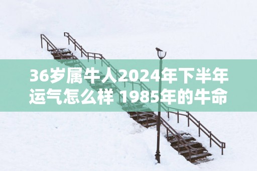 36岁属牛人2025年下半年运气怎么样 1985年的牛命主