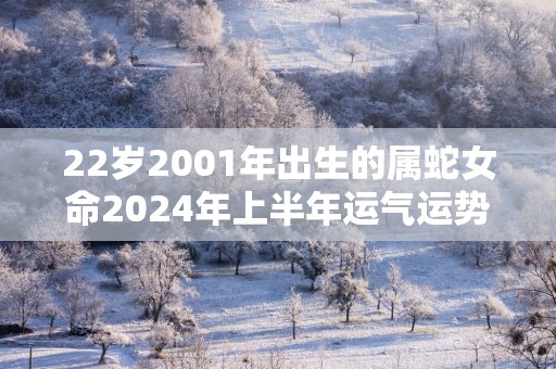 22岁2001年出生的属蛇女命2025年上半年运气运势