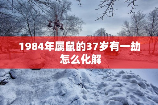 1984年属鼠的37岁有一劫 怎么化解
