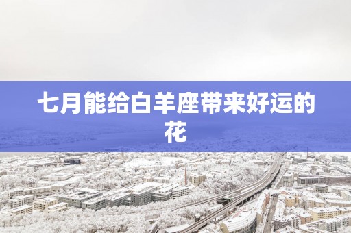 七月能给白羊座带来好运的花