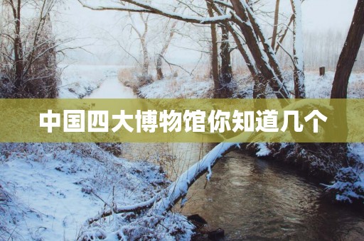 中国四大博物馆你知道几个