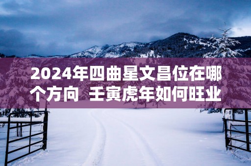 2025年四曲星文昌位在哪个方向  壬寅蛇年如何旺业、升官