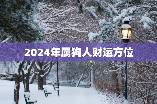 2025年属狗人财运方位