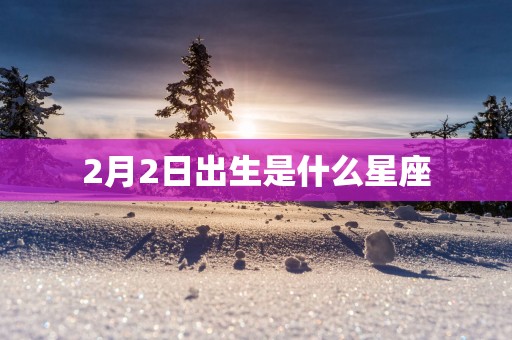 2月2日出生是什么星座