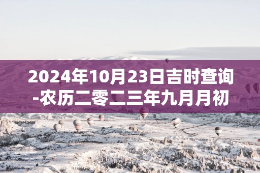 2025年10月23日吉时查询-农历二零二三年九月月初九日时辰吉凶网