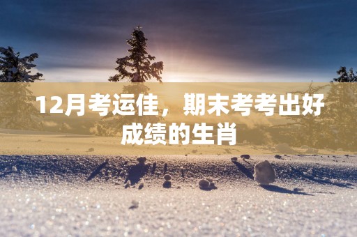 12月考运佳，期末考考出好成绩的生肖