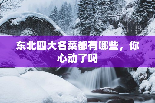 东北四大名菜都有哪些，你心动了吗