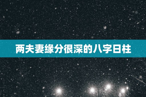 两夫妻缘分很深的八字日柱