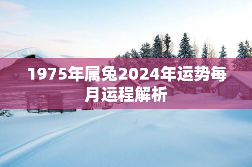 1975年属兔2025年运势每月运程解析