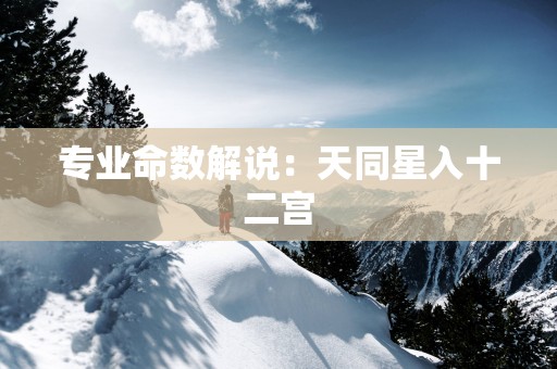 专业命数解说：天同星入十二宫