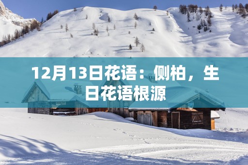 12月13日花语：侧柏，生日花语根源