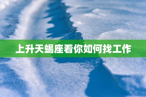 上升天蝎座看你如何找工作