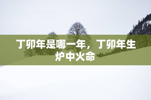 丁卯年是哪一年，丁卯年生炉中火命