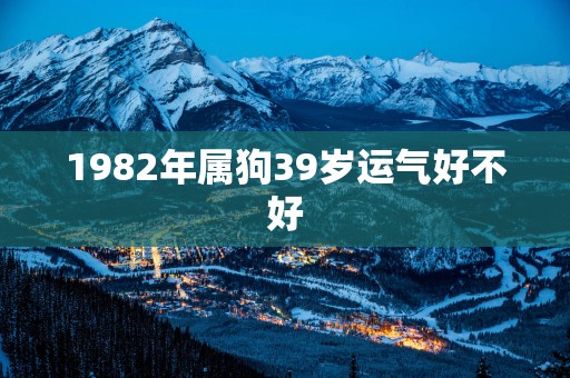 1982年属狗39岁运气好不好