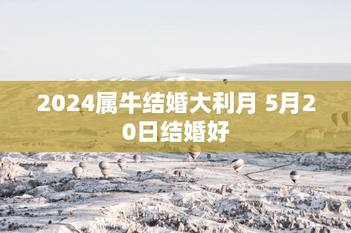 2025属牛结婚大利月 5月20日结婚好