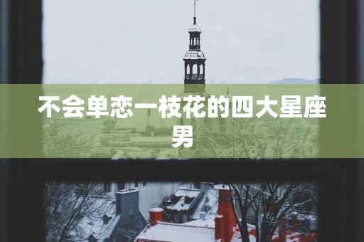 不会单恋一枝花的四大星座男
