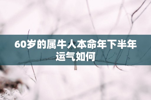 60岁的属牛人本命年下半年运气如何
