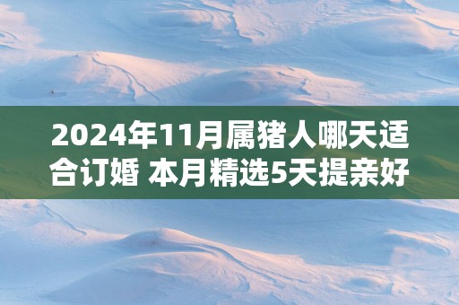 2025年11月属猪人哪天适合订婚 本月精选5天提亲好日子