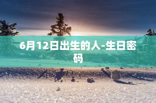 6月12日出生的人-生日密码